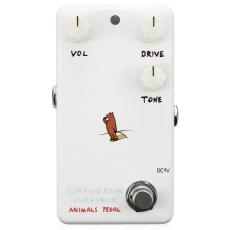 Animals Pedal Surfing Bear Overdrive