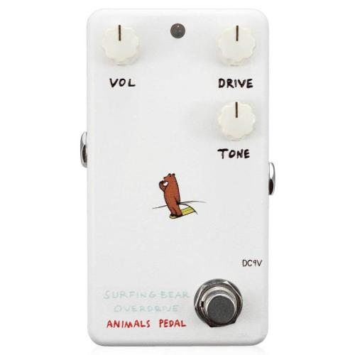 Animals Pedal Surfing Bear Overdrive