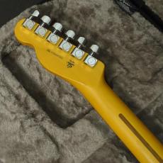 Fender American Professional Telecaster Rosewood Fingerboard Black_8