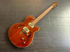 Godin Montreal　専用ケース付き