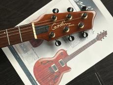 Godin Montreal　専用ケース付き_2