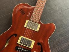 Godin Montreal　専用ケース付き_3