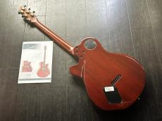 Godin Montreal　専用ケース付き_4