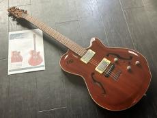 Godin Montreal　専用ケース付き_5