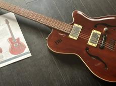Godin Montreal　専用ケース付き_6