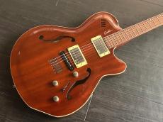 Godin Montreal　専用ケース付き_7