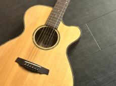 Crews Maniac Sound ES-1500C　　ハードケース付き_3