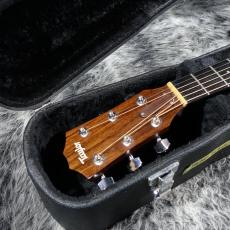 Taylor 314ce_5