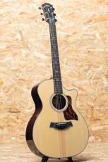 Taylor Next Generation 414ce_3