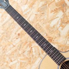 Taylor Next Generation 414ce_6