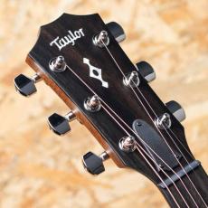 Taylor Next Generation 414ce_8