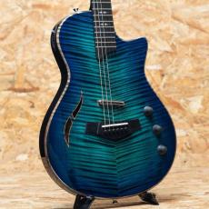 Taylor Custom #37 CT5z B4037