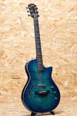 Taylor Custom #37 CT5z B4037_3