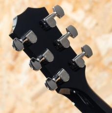 Taylor Custom #37 CT5z B4037_10