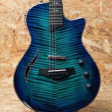 Taylor Custom #37 CT5z B4037_11