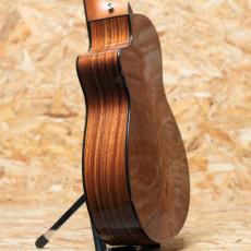 Taylor 212ce PLUS_5