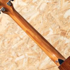 Taylor 212ce PLUS_7