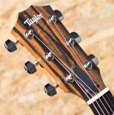 Taylor 212ce PLUS_8