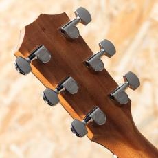 Taylor 212ce PLUS_9