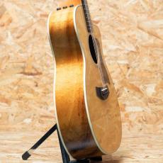Taylor 214ce-Koa DLX_4