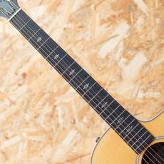 Taylor 214ce-Koa DLX_6
