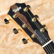 Taylor 214ce-Koa DLX_8