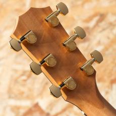 Taylor 214ce-Koa DLX_9