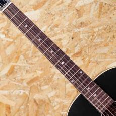 Gibson J-45 Special VS_6