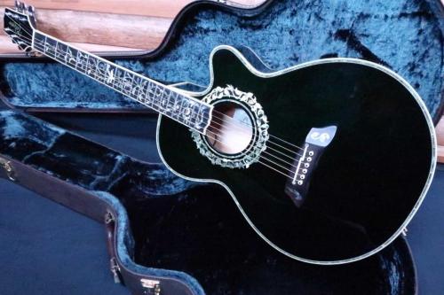 Takamine NPT-115 Custom / Original Peg・Tree of Life Custom Abalone Inlay and Rosetta・Top and Side and Back Abalone Trim・Arched Figure Maple Top and Figure Maple Side and Figure Maple Arched Back 【With Original
