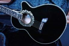 Takamine NPT-115 Custom / Original Peg・Tree of Life Custom Abalone Inlay and Rosetta・Top and Side and Back Abalone Trim・Arched Figure Maple Top and Figure Maple Side and Figure Maple Arched Back 【With Original_2