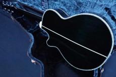 Takamine NPT-115 Custom / Original Peg・Tree of Life Custom Abalone Inlay and Rosetta・Top and Side and Back Abalone Trim・Arched Figure Maple Top and Figure Maple Side and Figure Maple Arched Back 【With Original_5