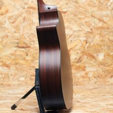 Taylor 314c_5