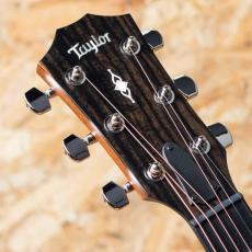 Taylor 314c_8