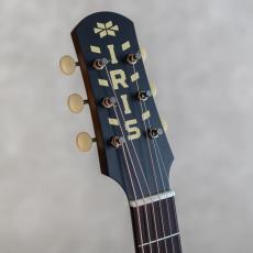 IRIS GUITAR COMPANY The DF Model Tobacco Burst_9