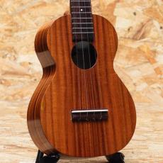 Kamaka HF-2 Concert 2013