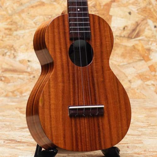 Kamaka HF-2 Concert 2013