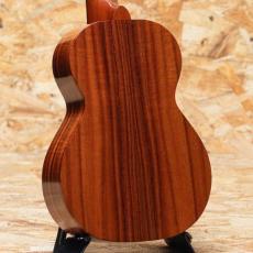 Kamaka HF-2 Concert 2013_2