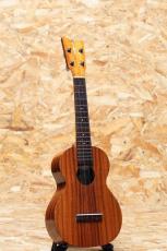 Kamaka HF-2 Concert 2013_3