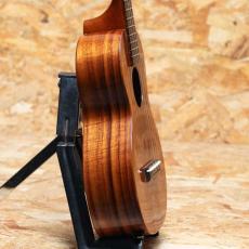 Kamaka HF-2 Concert 2013_4
