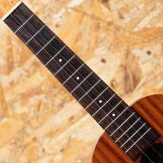 Kamaka HF-2 Concert 2013_6
