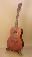 Takamine PT-406