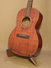 Takamine PT-406_2