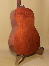 Takamine PT-406_3