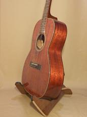 Takamine PT-406_4