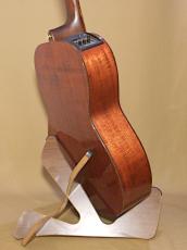 Takamine PT-406_5