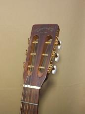 Takamine PT-406_6
