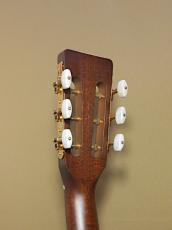 Takamine PT-406_7
