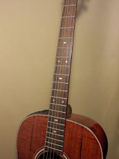 Takamine PT-406_8