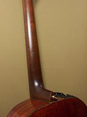 Takamine PT-406_9
