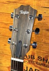 Taylor 【限定30本】117e Black Top ~Japan Limited~【コスパ最強エレアコ】【日本限定モデル】_4